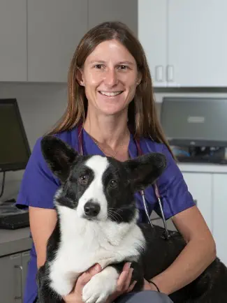 Sara Austin, DVM